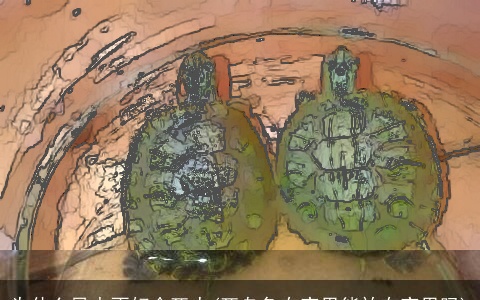 为什么风水不好会死人(死乌龟在家里能放在家里吗)