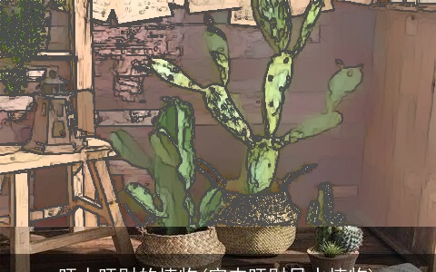 旺人旺财的植物(室内旺财风水植物)