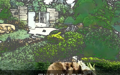 园林风水基本常识