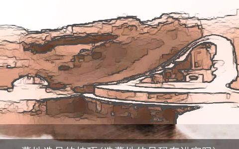 墓地选号的技巧(选墓地的号码有讲究吗)