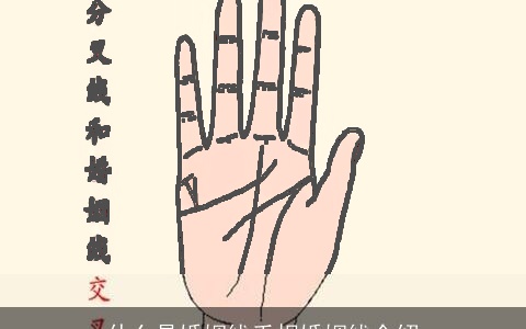 什么是婚姻线手相婚姻线介绍