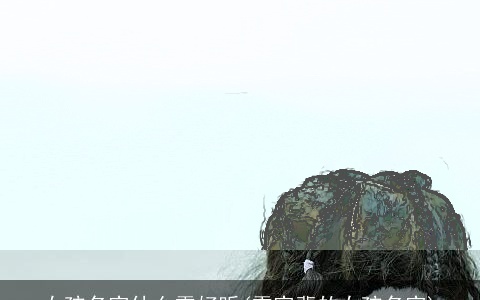 女孩名字什么雪好听(雪字辈的女孩名字)