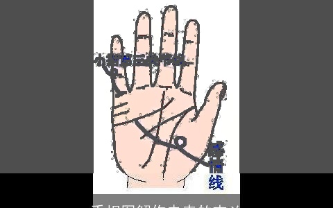 手相图解你未来的吉凶