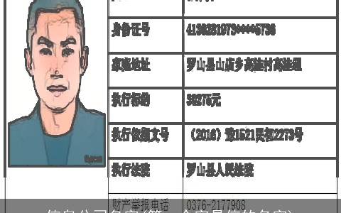 信息公司名字(第一个字是信的名字)