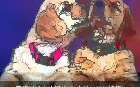 养狗对风水的好处(风水学是不是迷信)