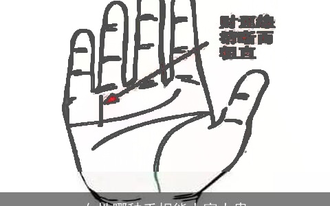 女性哪种手相能大富大贵