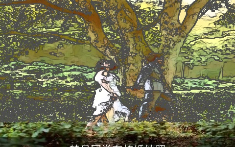 梦见同学在拍婚纱照