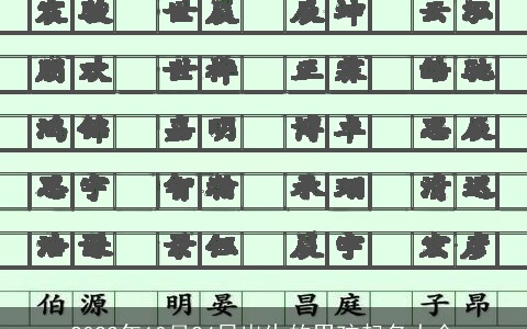 2023年10月24日出生的男孩起名大全