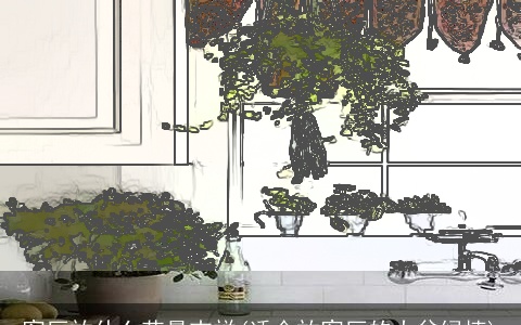 客厅放什么花最吉祥(适合放客厅的大盆绿植)