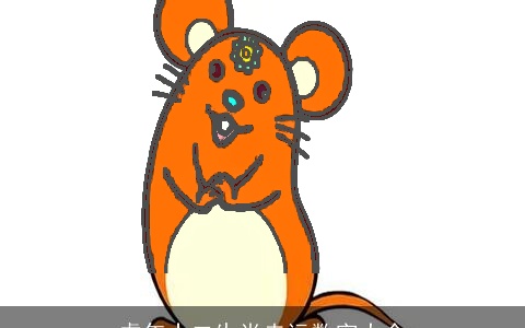 虎年十二生肖走运数字大全