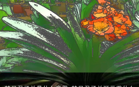 梦见君子兰是什么意思 梦见君子兰预示着什么