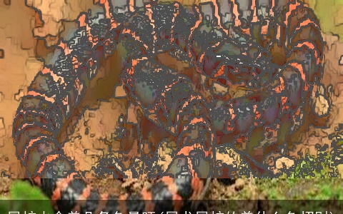 属蛇火命养几条鱼最旺(属龙属蛇的养什么鱼招财)