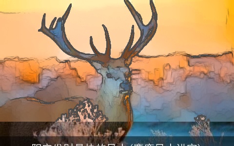 阳宅发财最快的风水(麋鹿风水讲究)