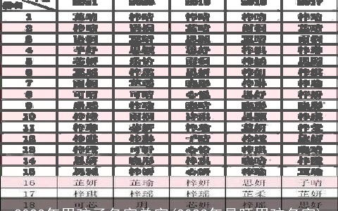2023年男孩子名字单字(2023年最旺男孩名字)