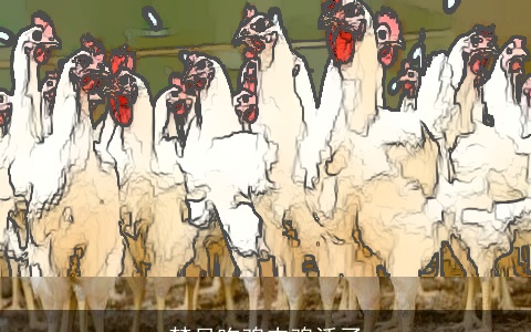 梦见吃鸡肉鸡活了