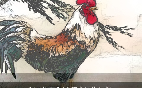 24是什么命(土鸡命是什么命)