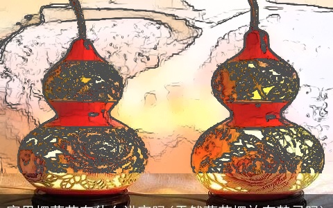 家里摆葫芦有什么讲究吗(天然葫芦摆放有禁忌吗)