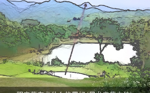 阴宅葬在龙什么位置好(属龙安葬方位)