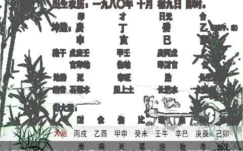 八字用神为木的人如何开运(八字中的子午冲该如何用风水化解)
