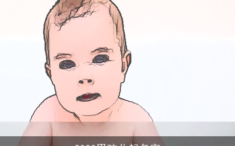 2023男孩儿起名字