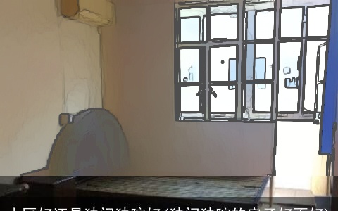 小区好还是独门独院好(独门独院的房子好不好)