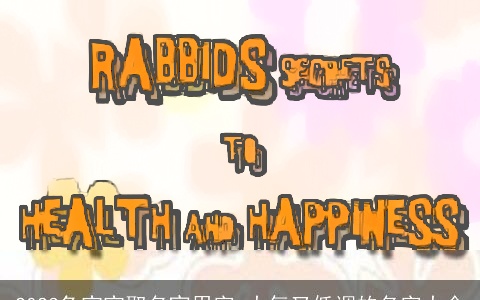 2023兔宝宝取名宜用字 大气又低调的名字大全