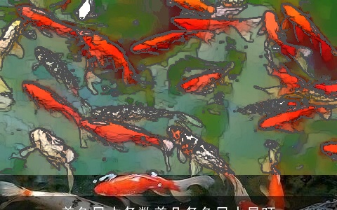 养鱼风水条数养几条鱼风水最旺