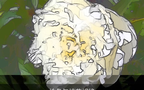 姓名与桃花姻缘