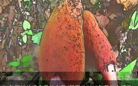 77年属蛇的适合养什么花(属猴的2020年养什么植物)