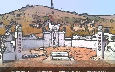 一不葬童山二不葬断山(下那几种山葬不得坟)