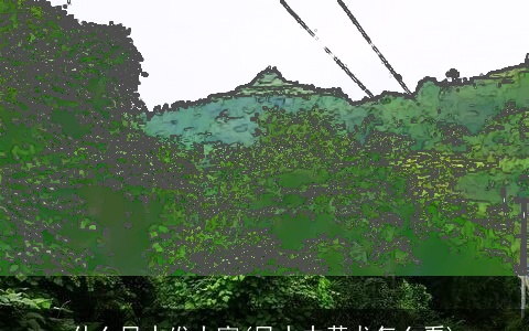 什么风水发大富(风水中黄龙怎么看)