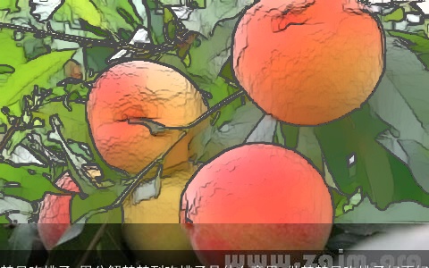 梦见吃桃子_周公解梦梦到吃桃子是什么意思_做梦梦见吃桃子好不好