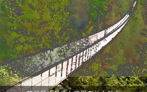 梦见吊桥是什么意思有什么预兆