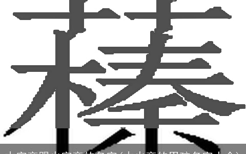 木字旁跟火字旁的名字(木火旁的男孩名字大全)