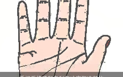 手相看情感和名利有冲突取决部位