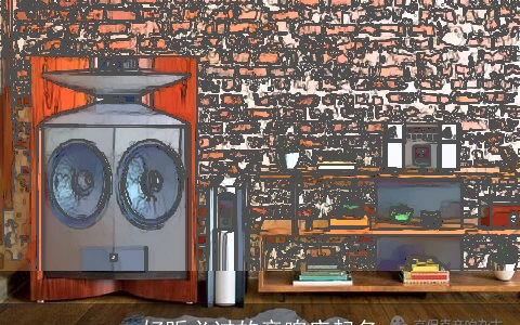 好听必过的音响店起名