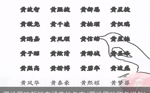 罗姓男孩新颖有涵养的名字(罗姓男孩取名洋气)