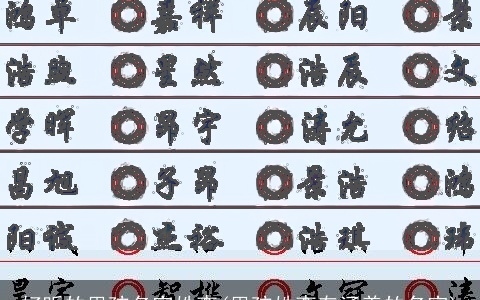 好听的男孩名字姓李(男孩姓李有涵养的名字)