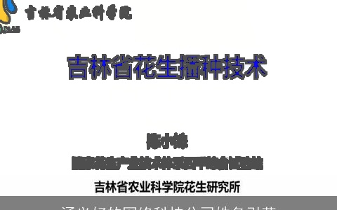 涵义好的网络科技公司姓名引荐