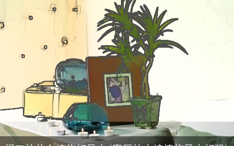 门口放什么植物好风水(客厅放水培植物风水好吗)