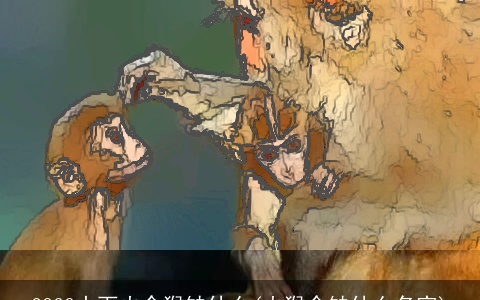 2023山下火命猴缺什么(火猴命缺什么名字)