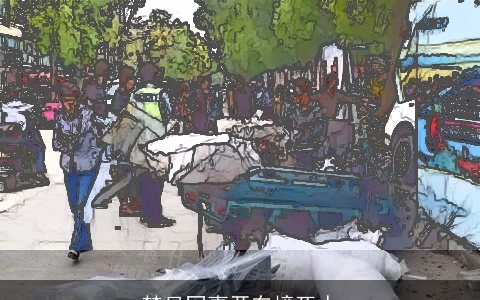 梦见同事开车撞死人