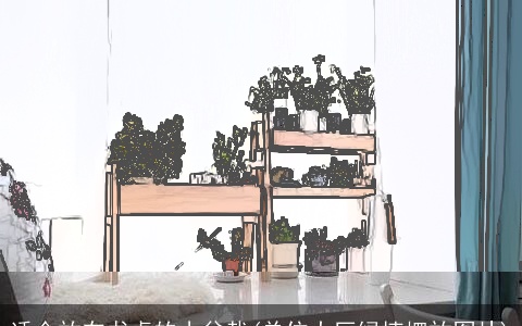 适合放在书桌的小盆栽(单位大厅绿植摆放图片)