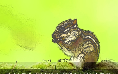 属鼠人手机尾号吉祥号(剑锋金命是什么意思)