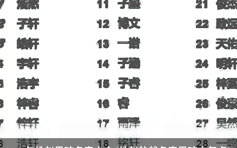 2023年姓赵男孩名字大全(姓赵的起名字男孩大气点)