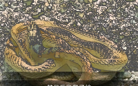 梦见后背爬了蛇