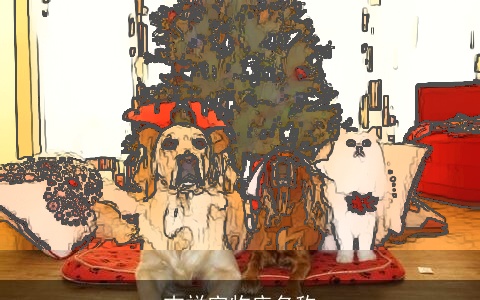 吉祥宠物店名称