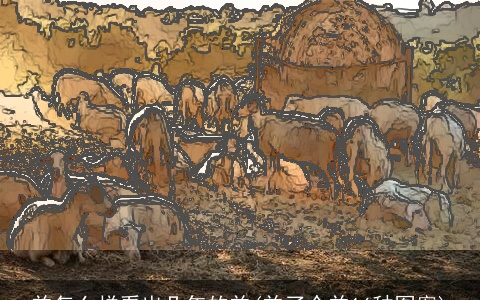 羊怎么样看出几年的羊(羊了个羊16种图案)