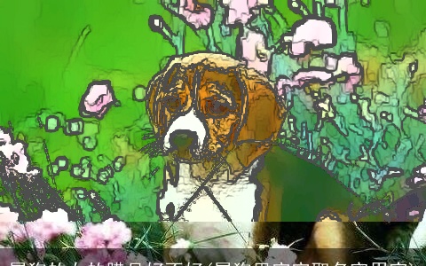 属龙的女的腊月好不好(属龙男宝宝取名宜用字)