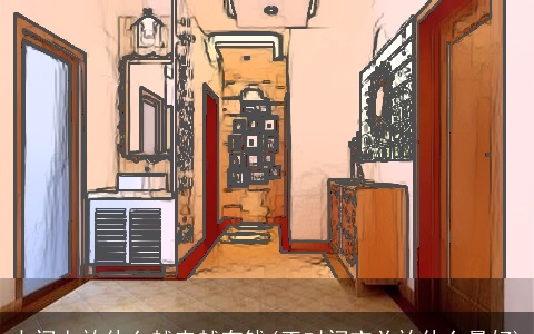 大门上放什么越来越有钱(正对门玄关放什么最好)